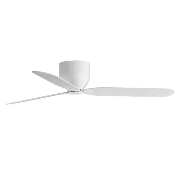Lowell-Indoor Ceiling Fan - Image 1