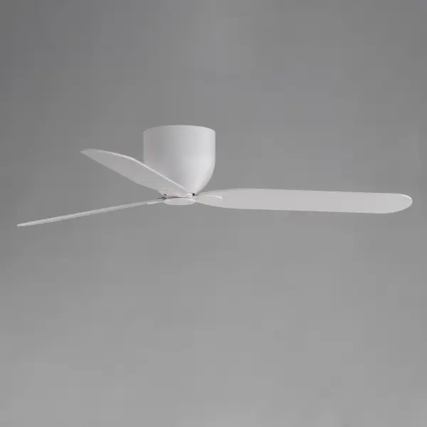 Lowell-Indoor Ceiling Fan - Image 2