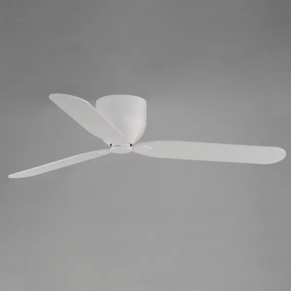 Lowell-Indoor Ceiling Fan - Image 3