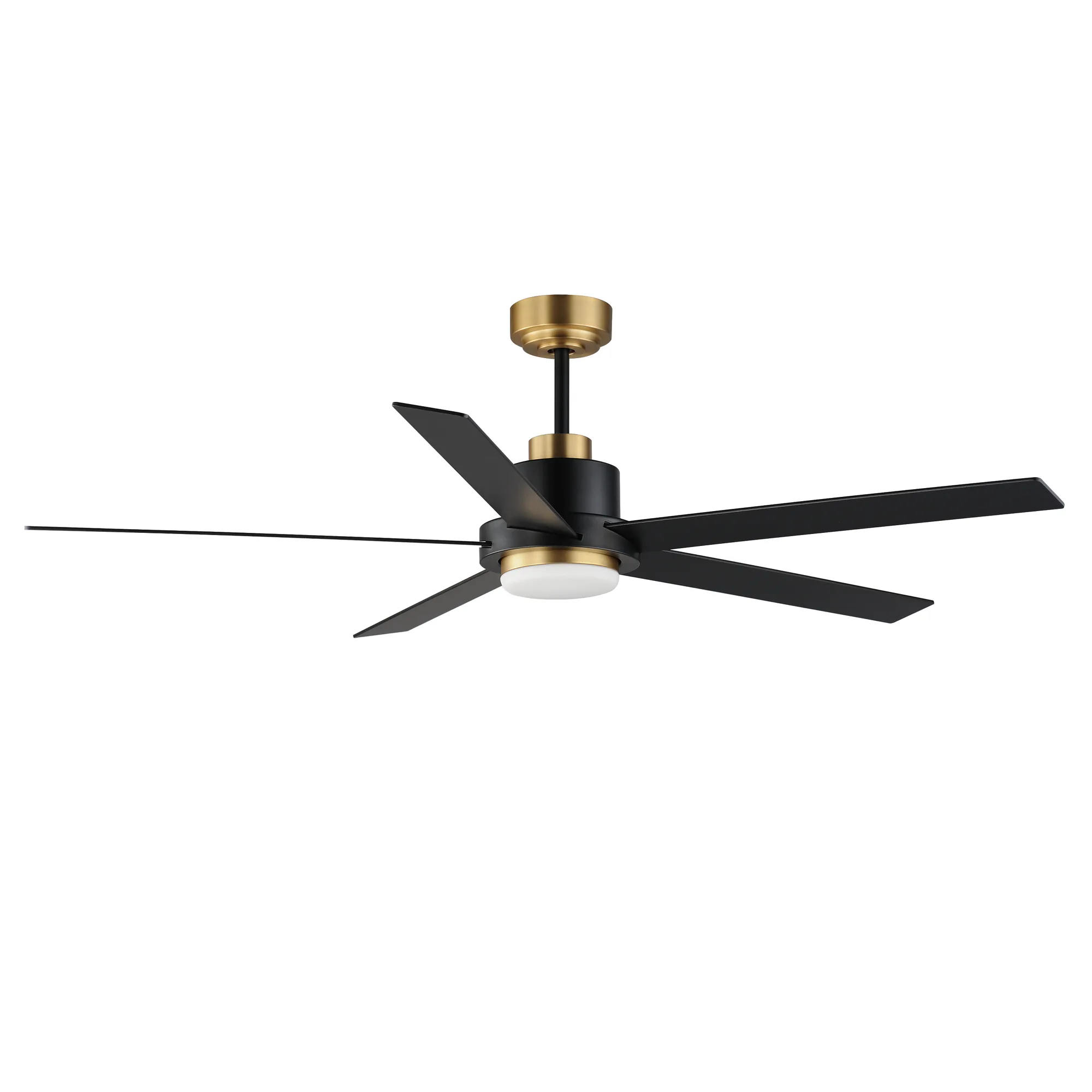 Daisy 60" Ceiling Fan in Black / Gold