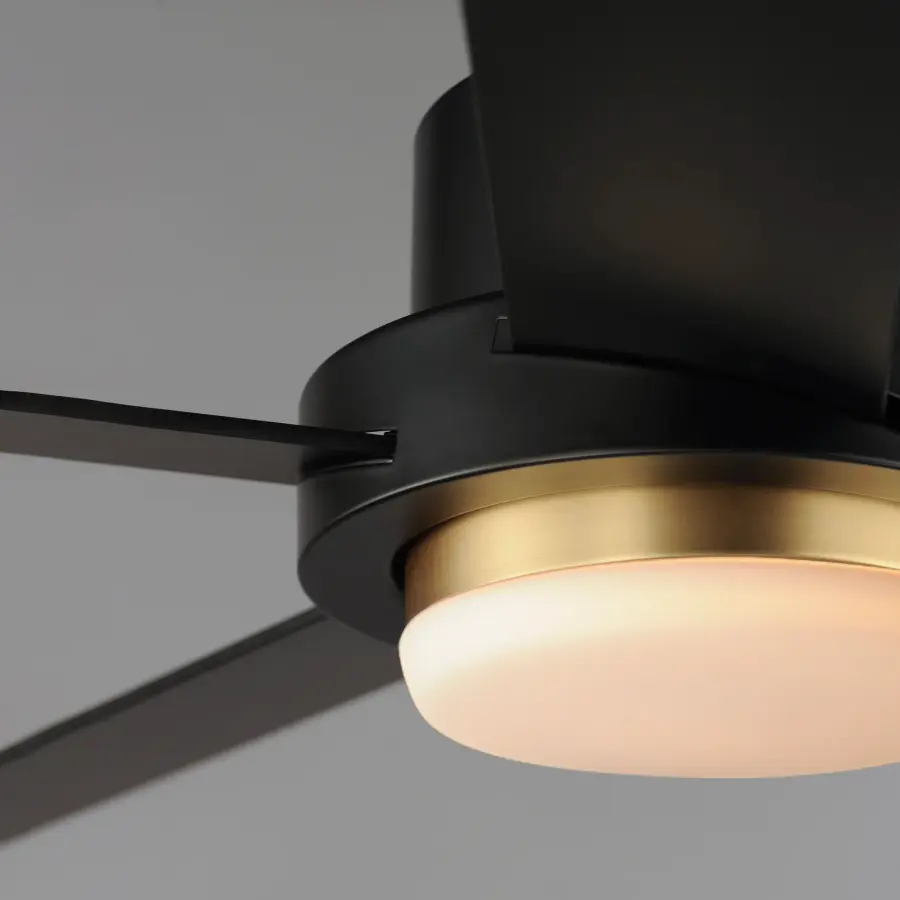 The Daisy by Maxim - Image 3