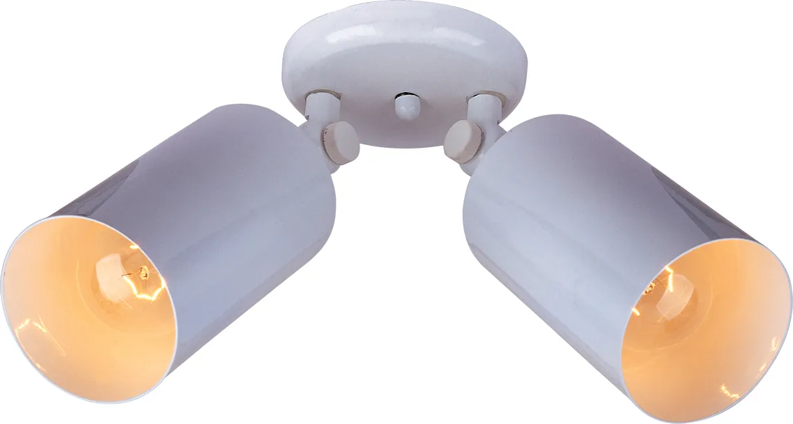 Spots Two Light Flush Mount in White