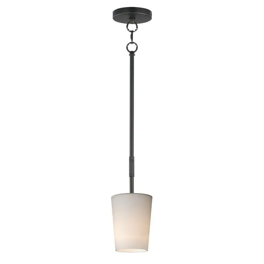 Durham One Light Mini Pendant in Black