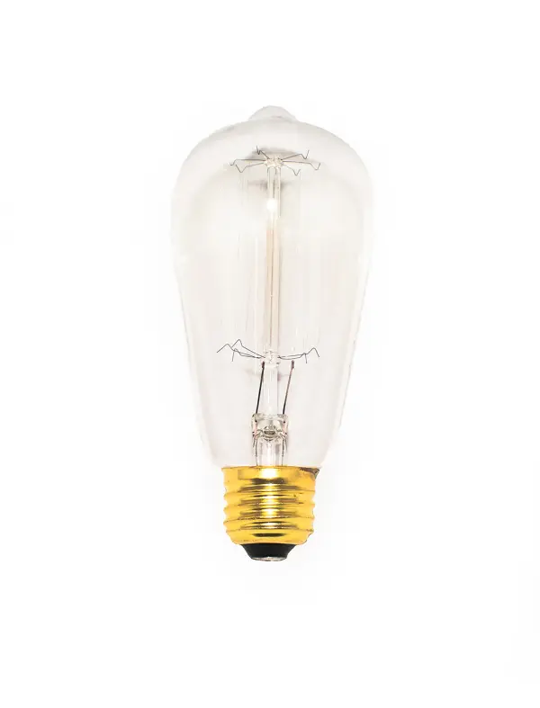 Bulbs-Bulb
