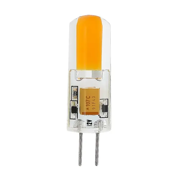 Bulbs-Bulb