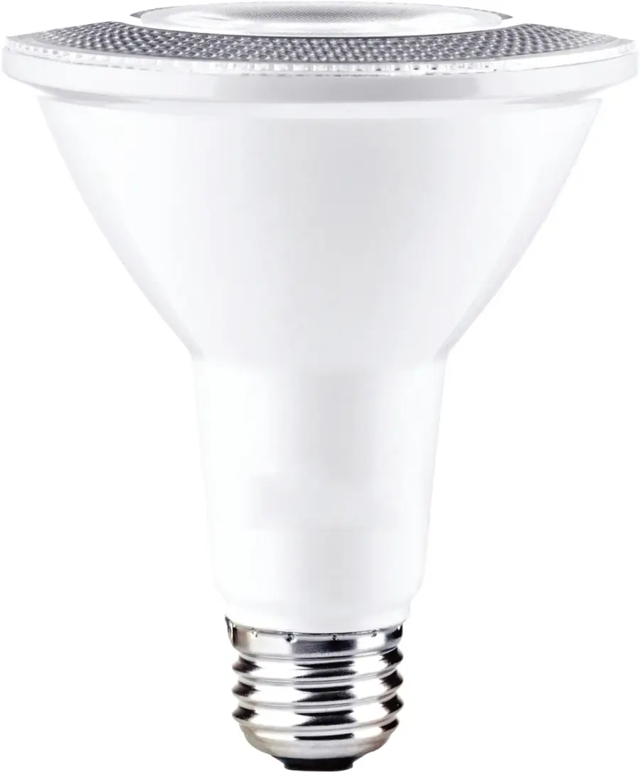 The Bulbs by Maxim
