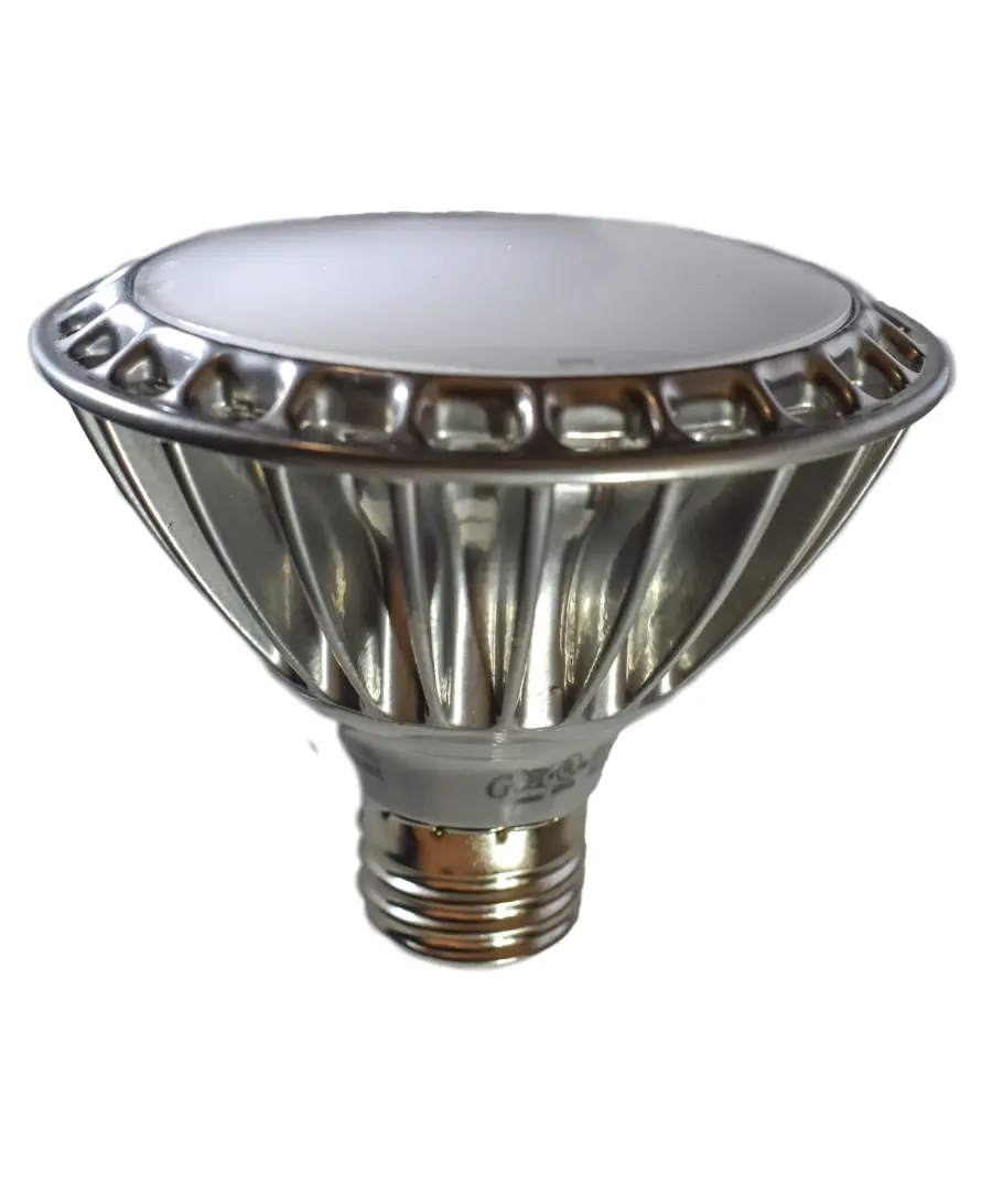 The Bulbs by Maxim