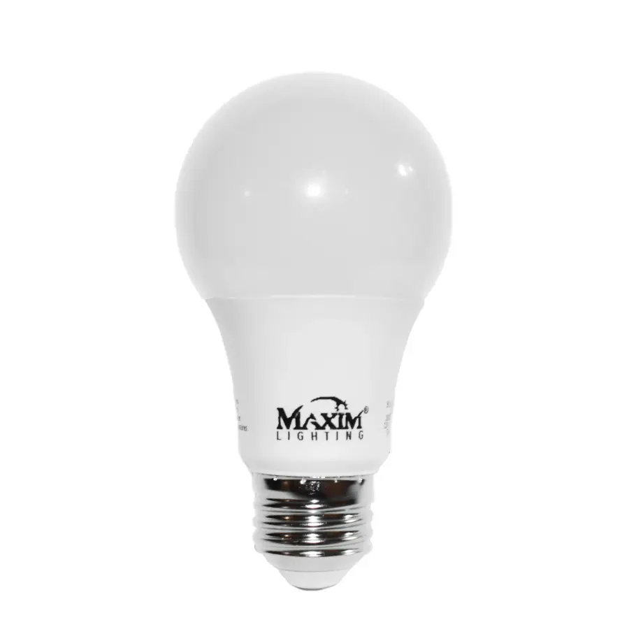 The Bulbs by Maxim