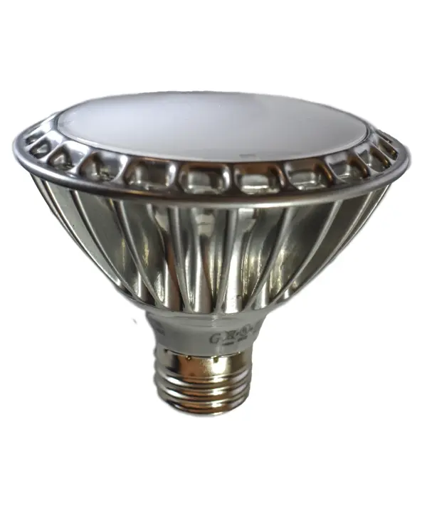 The Bulbs by Maxim