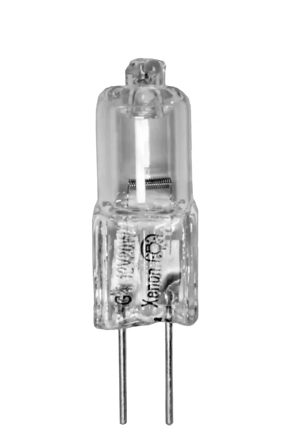 The Bulbs by Maxim