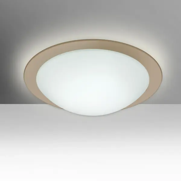Ring Flush Mount - White/Smoke Glass