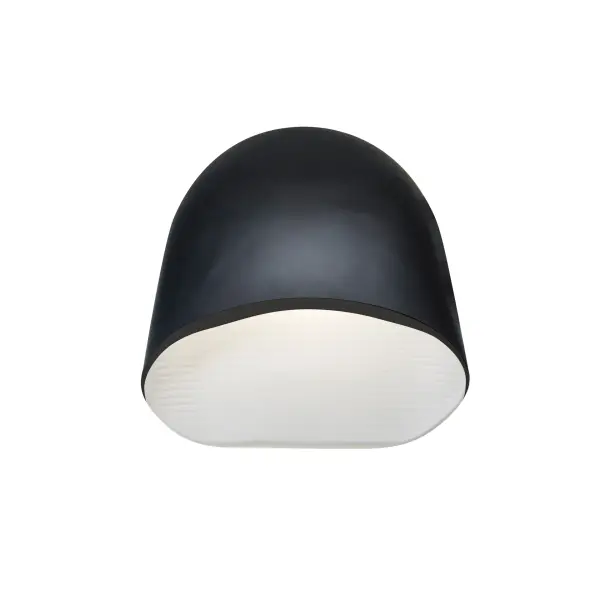 Toro Outdoor Wall Sconce in Black