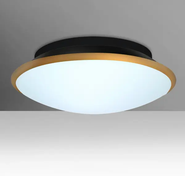 The Silk flush mount combines matte etched opal glass with a striking gold cap, creating a refined contrast that elevates any space. The artistically finished glass diffuser mimics spun metal for visual interest.