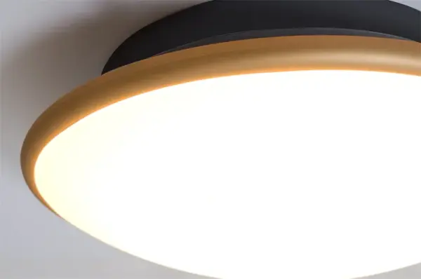 The Silk flush mount combines matte etched opal glass with a striking gold cap, creating a refined contrast that elevates any space. The artistically finished glass diffuser mimics spun metal for visual interest. - alternate view