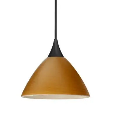 The Domi Pendant by Besa Lighting