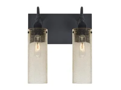 Juni 2-Light Vanity Light in Black