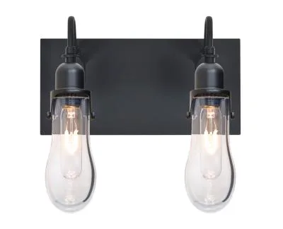 Wish 2-Light Wall Sconce in Black