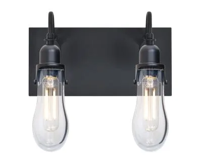 Wish 2-Light Wall Sconce in Black