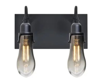 Wish 2-Light Wall Sconce in Black