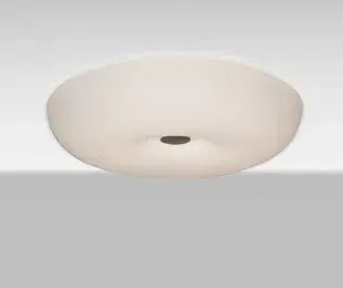Nimbus Opal Glass Flush Mount