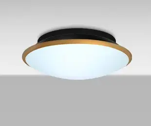 Silk Flush Mount Ceiling Light