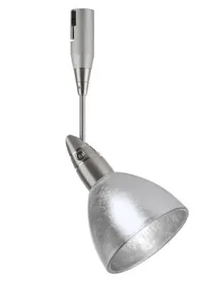 Divi Spotlight in Satin Nickel