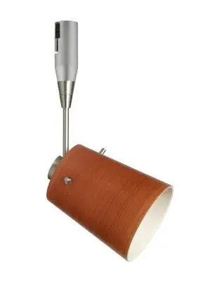 Tammi Spotlight in Satin Nickel
