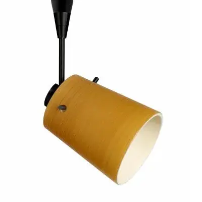 The Tammi Spotlight by Besa Lighting