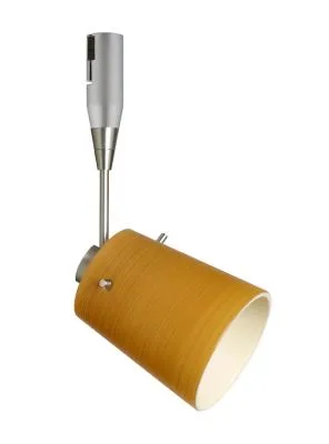 Tammi Spotlight in Satin Nickel