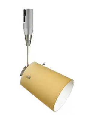 Tammi Spotlight in Satin Nickel