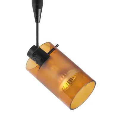 Scope Spotlight