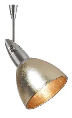Divi Spotlight in Satin Nickel