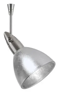 Divi Spotlight in Satin Nickel