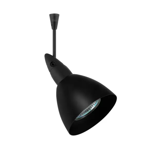 Divi Metal Black Spotlight