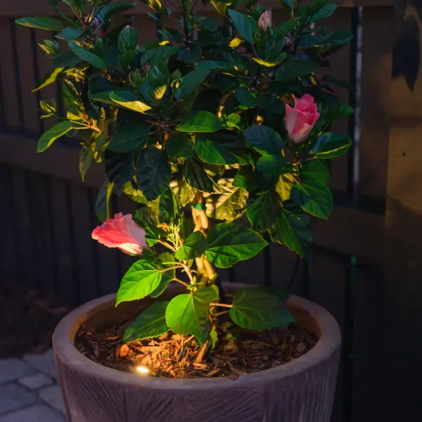 Scout Pro Integrated LED Landscape Light - Image 3