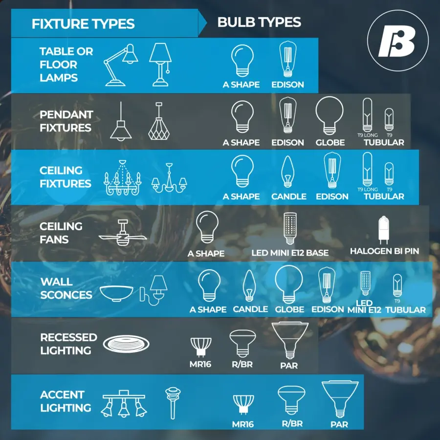 G40 Clear Globe Incandescent Bulb - Image 4