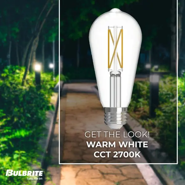 ST18 LED Filament Bulb - 60W Equivalent - Image 4