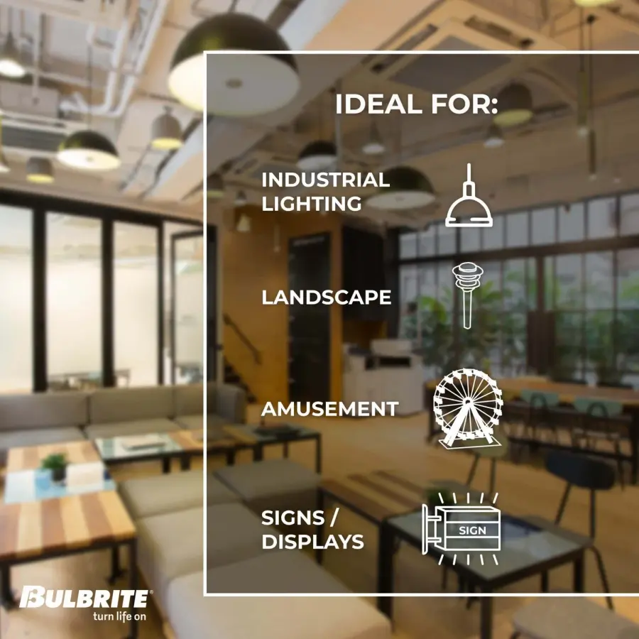 ST18 LED Filament Bulb - 60W Equivalent - Image 6