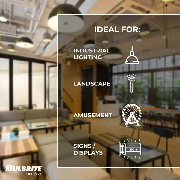 Filaments ST18 LED Bulb - Cool White 4000K - Image 6