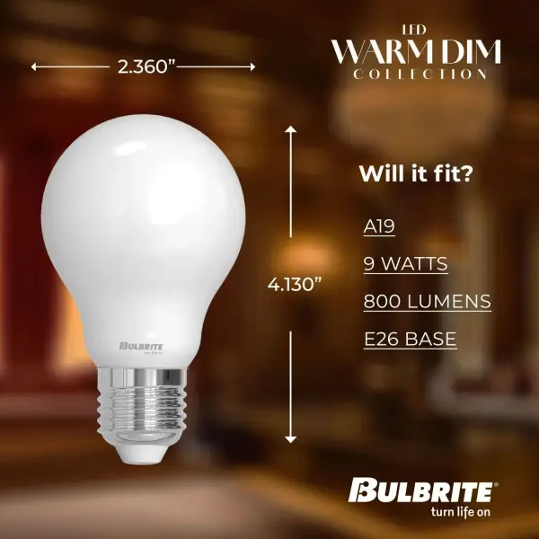 Warm Dim LED A19 Filament Bulb - Image 5