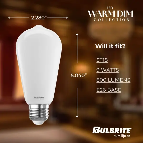 Warm Dim LED ST18 Filament Bulb - Image 5