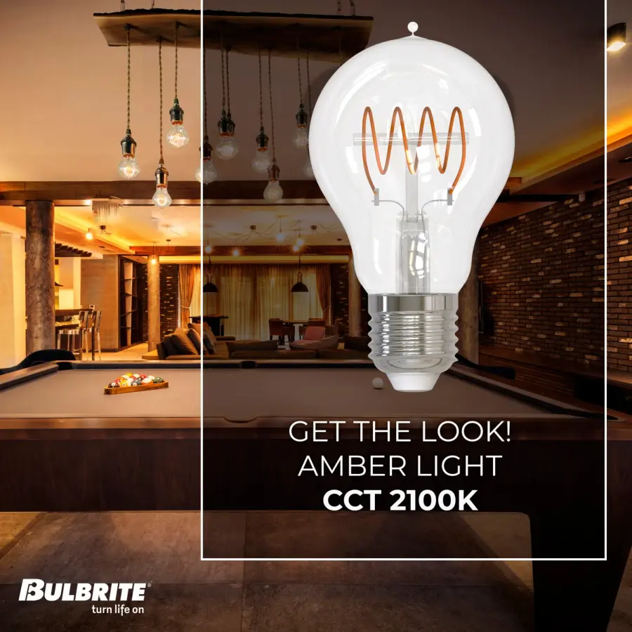 Filaments A19 LED Curved Loop Bulb - Image 3
