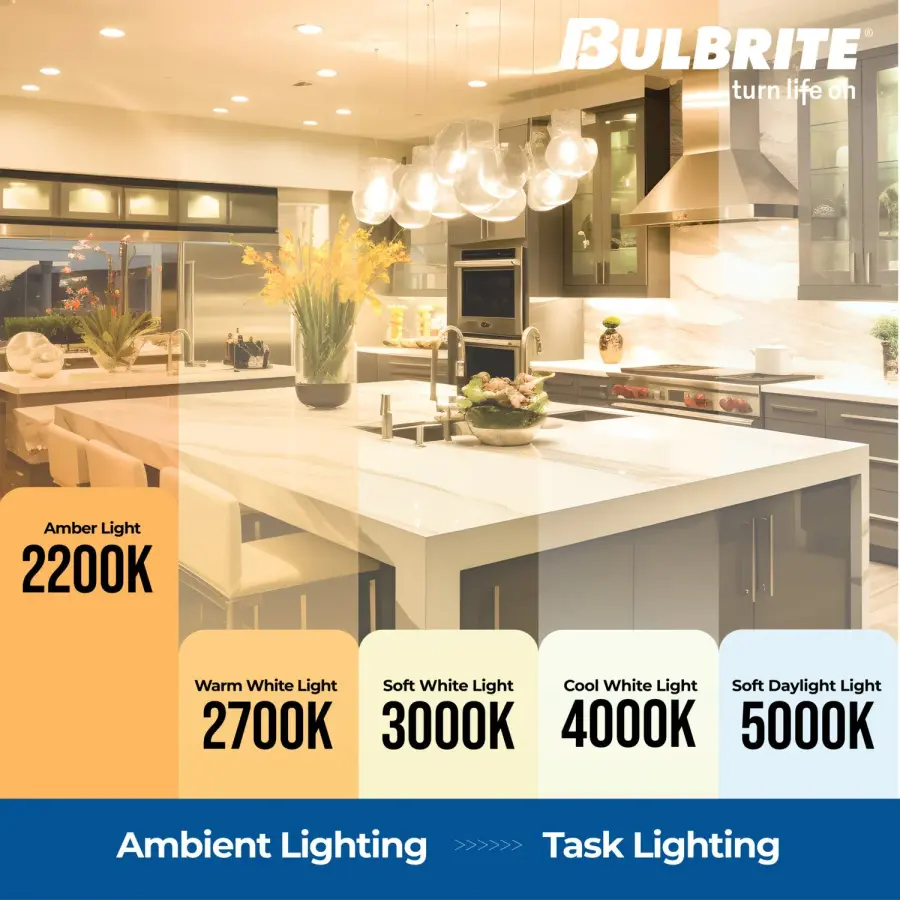 Filaments G25 LED Globe Bulb - Antique Amber - Image 3