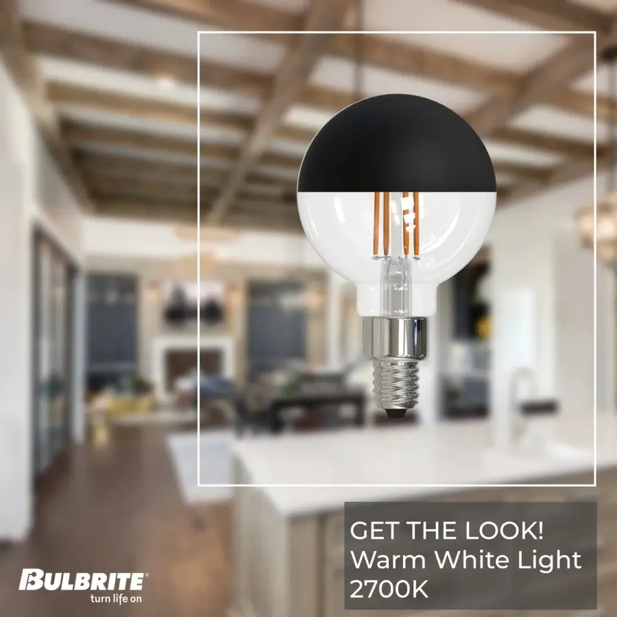 Filaments Half Black G16 Globe LED Bulb - Image 3