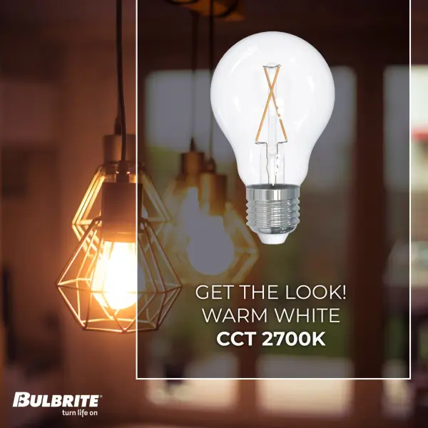 Filaments A19 LED Bulb - 2.5W Warm White - Image 3