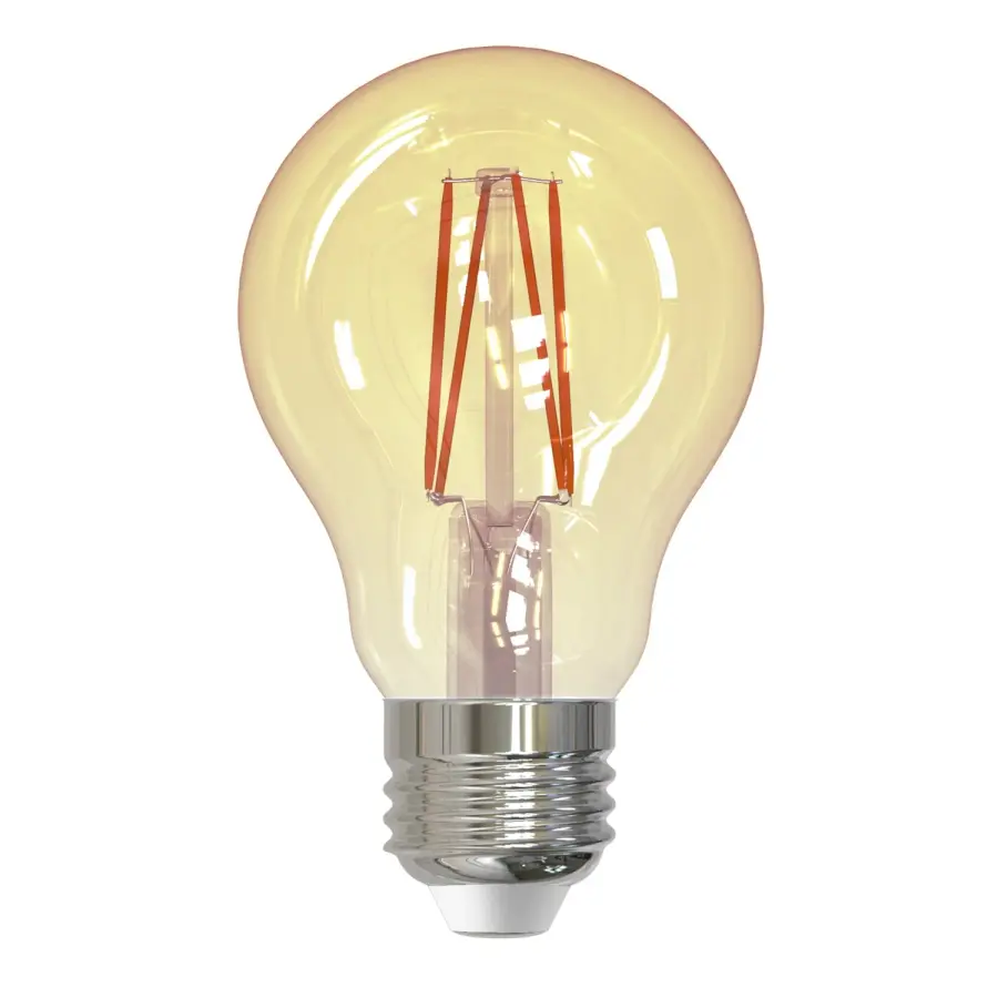 Filaments A19 LED Bulb - Antique Amber - Image 1