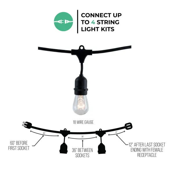 48-Foot Edison String Lights with 15 Clear S14 Bulbs - Image 4