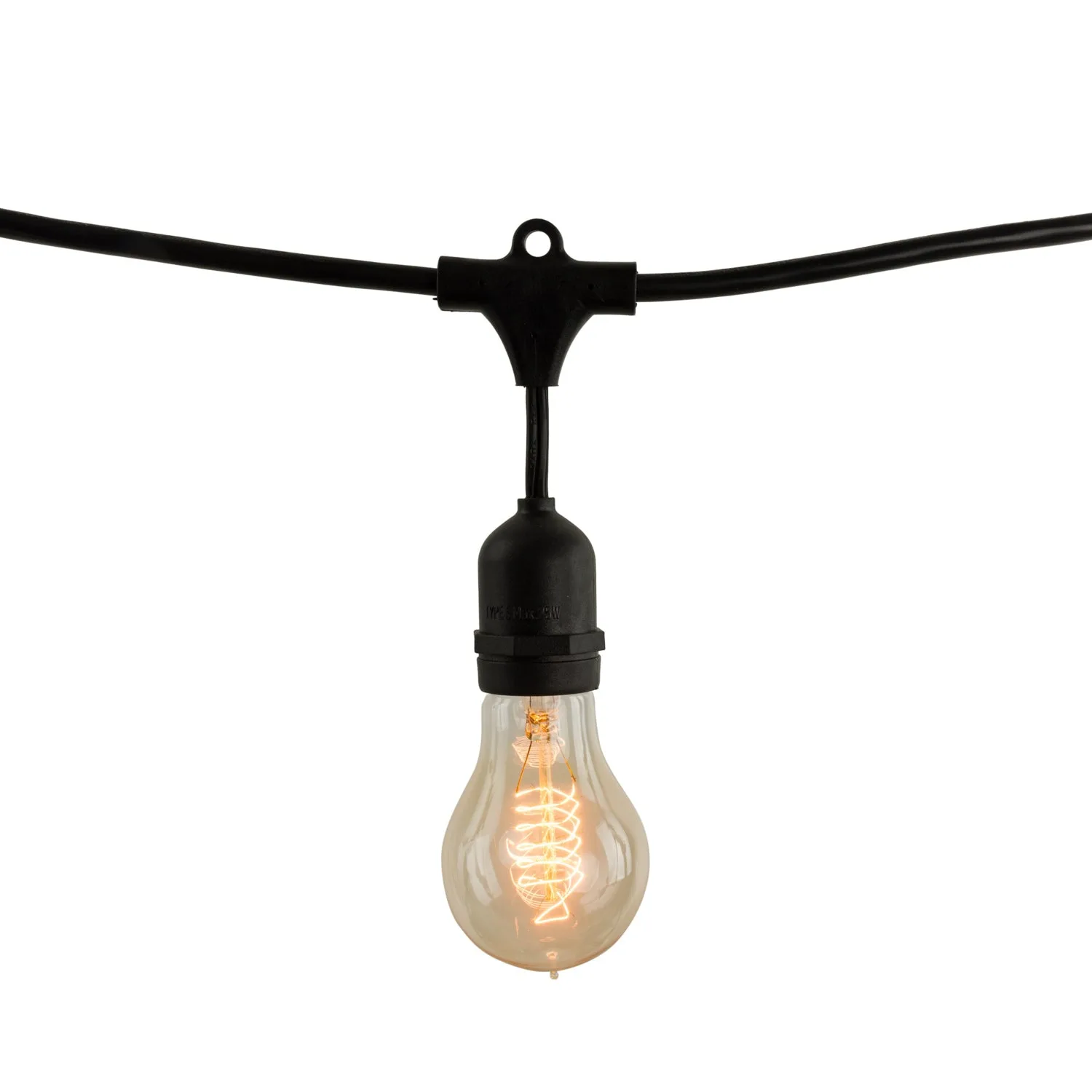 48' Edison String Lights with 15 A19 Bulbs