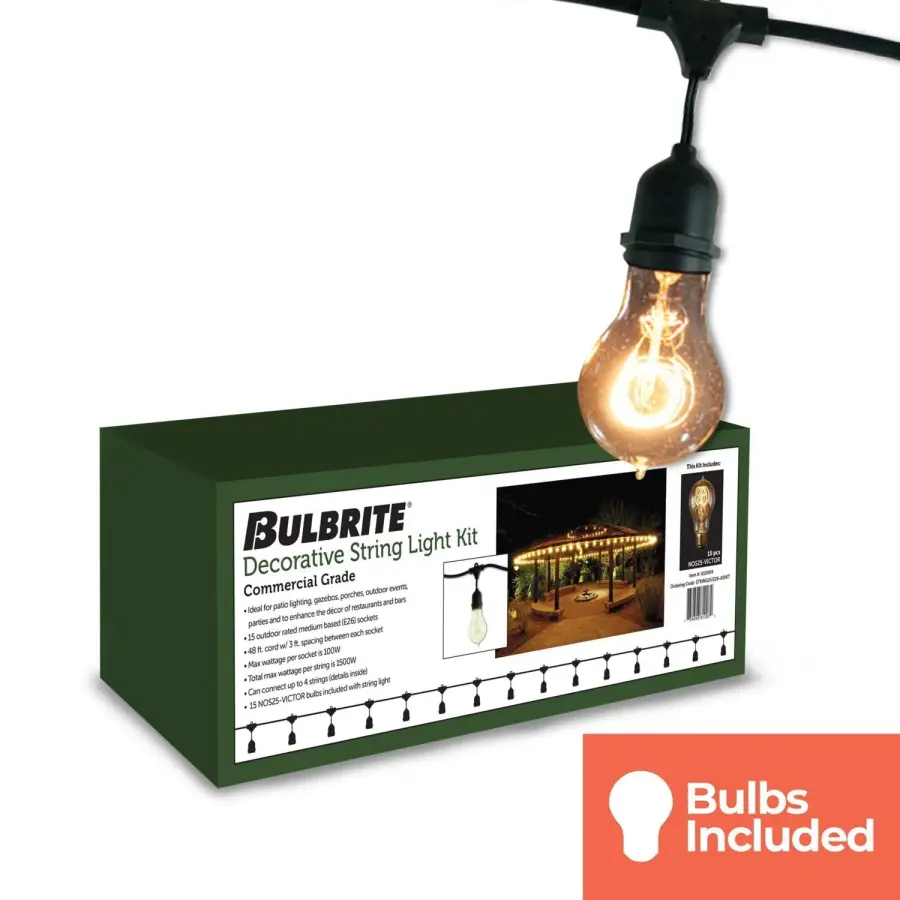 48' Edison String Lights with 15 A19 Bulbs - Image 2