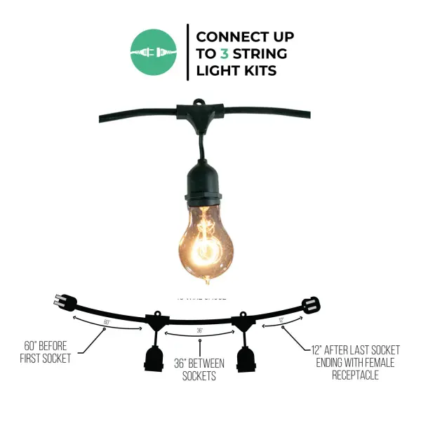 48' Edison String Lights with 15 A19 Bulbs - Image 4